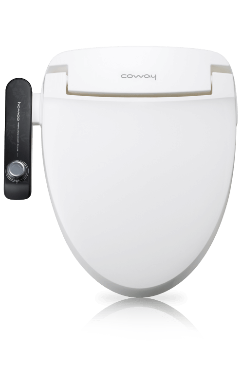 main imag manual bidet